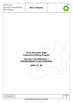 Standard MS Word Controlled Document Template