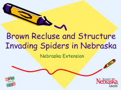 Brown Recluse and Structure Invading Spiders in Nebraska