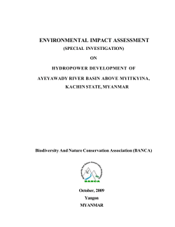 environmental impact assessment