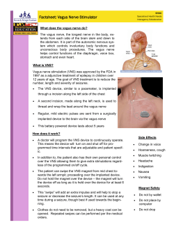 Factsheet: Vagus Nerve Stimulator