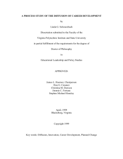 A PROCESS STUDY OF THE DIFFUSION OF