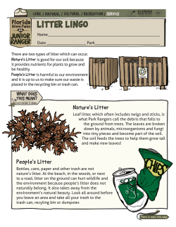 Service Activities - Florida State Parks