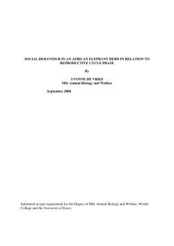 SOCIAL BEHAVIOUR IN AN AFRICAN ELEPHANT HERD IN