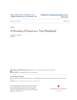 A Diversity of Voices in a &ldquo;Vast Wasteland&rdquo;