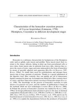 Characteristics of the honeydew excretion process of Coccus