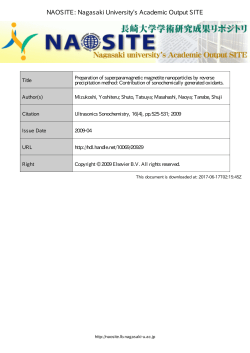 Preparation of superparamagnetic magnetite