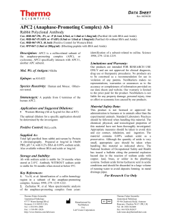 APC2 (Anaphase-Promoting Complex) Ab-1
