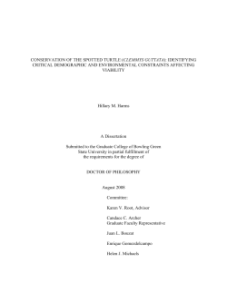 Conservation of the Spotted Turtle (Clemmys guttata): Identifying