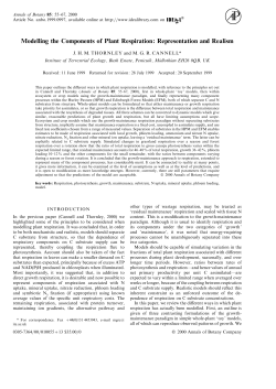 Modelling the components of plant respiration