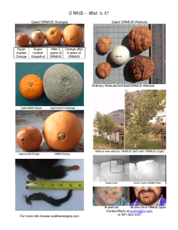 ORMUS Picture Book