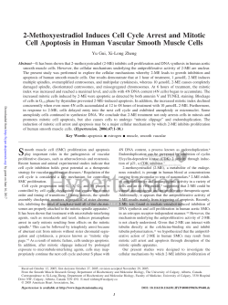 2-Methoxyestradiol Induces Cell Cycle Arrest and Mitotic Cell
