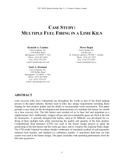 case study: multiple fuel firing in a lime kiln