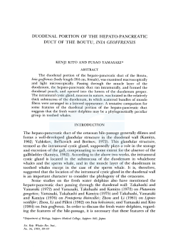 duodenal portion of the hepato