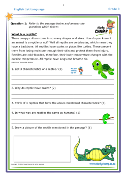 English 1st Language Grade 3 What is a reptile?