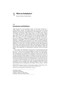 Sample pages 1 PDF