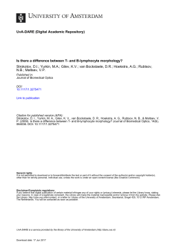 Is there a difference between T- and B-lymphocyte - UvA-DARE