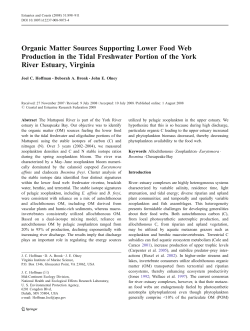 Organic Matter Sources Supporting Lower Food Web Production in