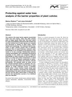 Protecting against water loss: analysis of the barrier properties of