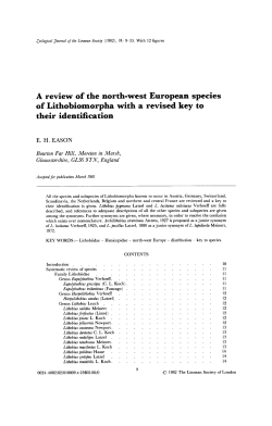 A review of the northwest European species of