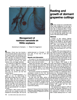 Rooting and growth of dormant grapevine cuttings