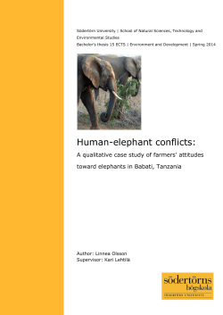 Human-elephant conflicts