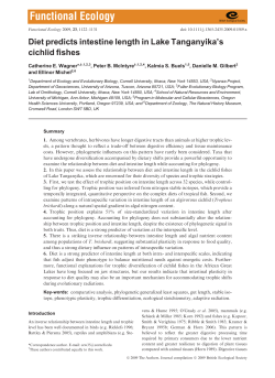 Diet predicts intestine length in Lake Tanganyika`s cichlid fishes