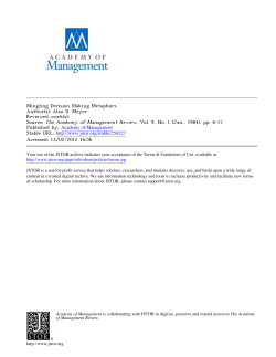Mingling Decision Making Metaphors