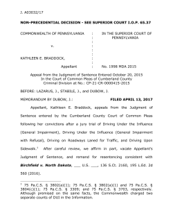j. a03032/17 non-precedential decision