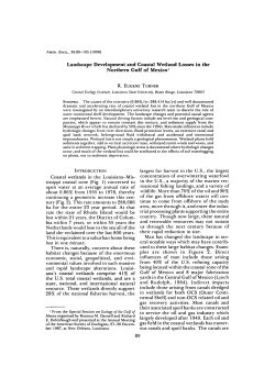 Landscape Development and Coastal Wetland Losses in the