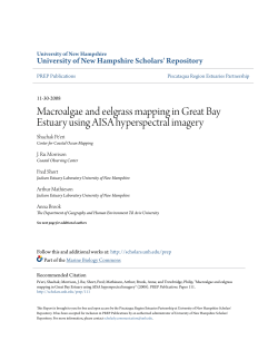 Macroalgae and eelgrass mapping in Great Bay Estuary using AISA