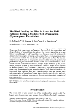 The blind leading the blind in army ant raid patterns