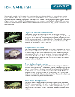 FISH: GAME FISH