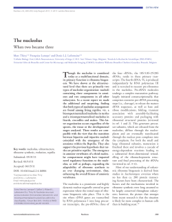 The nucleolus - Lafontaine Lab