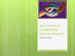 1206 Eco Slides 4 - Eric G. Lambert School