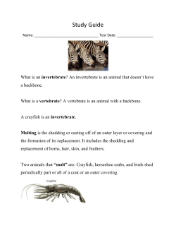 Study Guide - Germantown School District