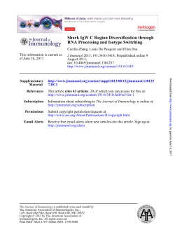 RNA Processing and Isotype Switching Shark IgW C Region