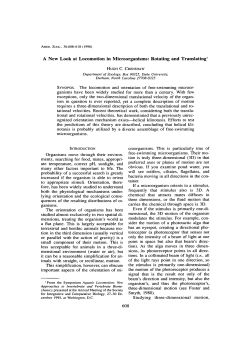 A New Look at Locomotion in Microorganisms: Rotating and