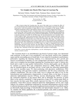 New Insights into Muscle Fibre Types in Casertana Pig Salvatore