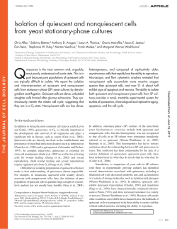 Isolation of quiescent and nonquiescent cells from yeast stationary