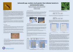 Salmonella - Longwood University