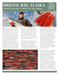 Bristol Bay, Alaska - Commercial Fishermen For Bristol Bay