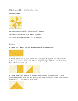 GTQG November BOM 12 1/2&rdquo; unfinished block Dutchman`s Puzzle