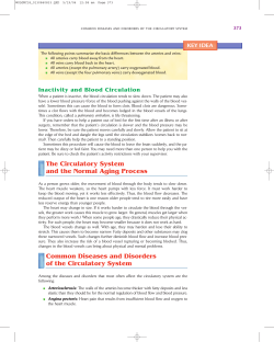Inactivity and Blood Circulation