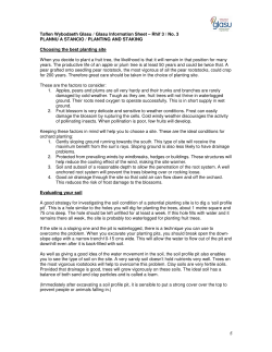 Planting and Staking - Marcher Apple Network