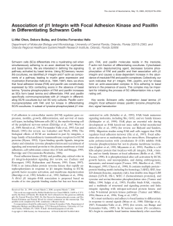 Association of 1 Integrin with Focal Adhesion Kinase and Paxillin in