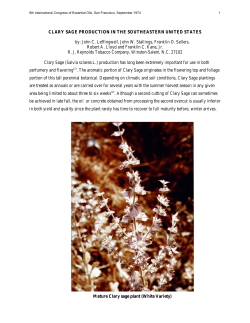 CLARY SAGE PRODUCTION IN THE SOUTHEASTERN UNITED