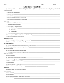 Meiosis Tutorial
