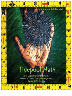 Tidepool Math High School