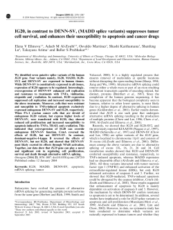 IG20, in contrast to DENN-SV, (MADD splice variants)
