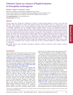 Chimeric Genes as a Source of Rapid Evolution